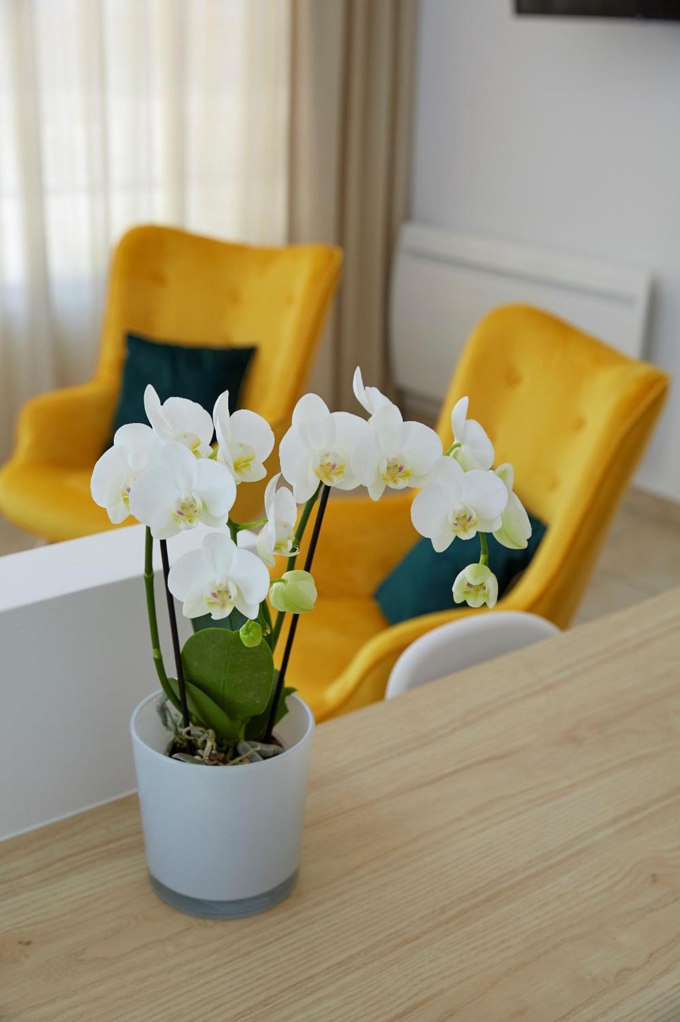 Prunay La Bertonnerie En Champagne B&B 외부 사진