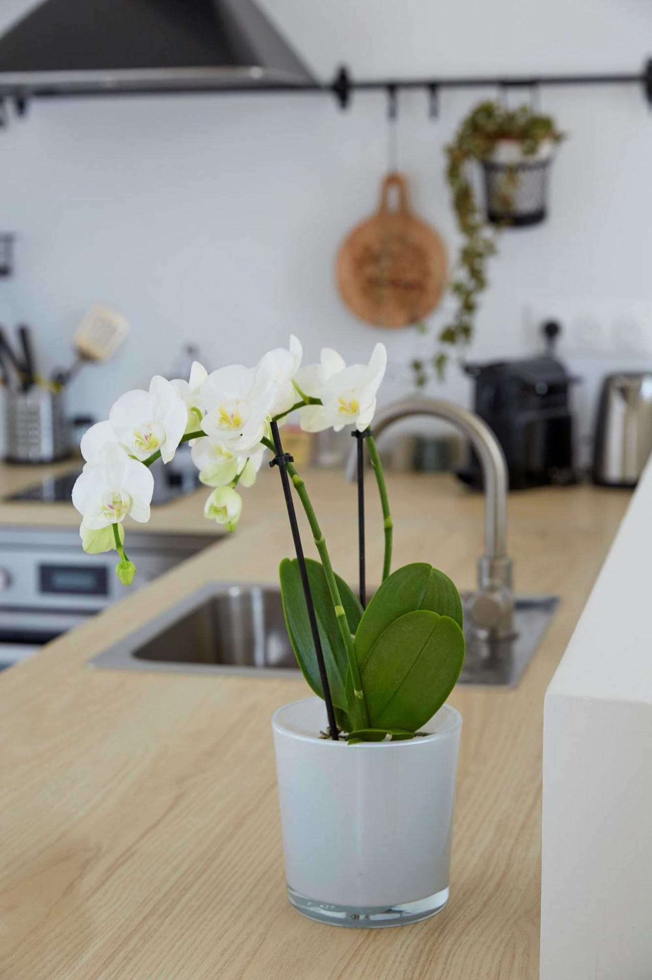 Prunay La Bertonnerie En Champagne B&B 외부 사진
